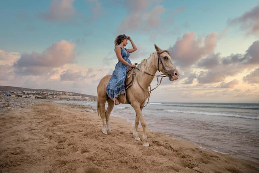 Doha : Arabian Horse Ride Experience With Transfer - From Doha streets to the sands near Sealine