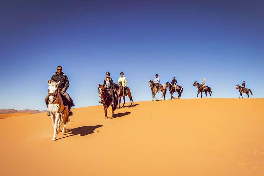 Doha : Arabian Horse Ride Experience With Transfer - One hour on horseback at Sealine