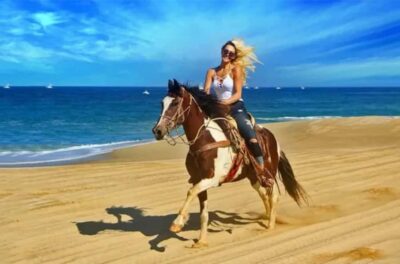 Arabian Horse Ride Experience With Transfer