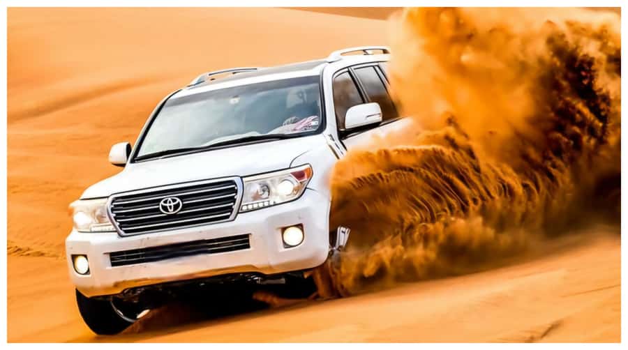 Doha : Arabian Horse Ride Experience With Transfer - What $169 buys you