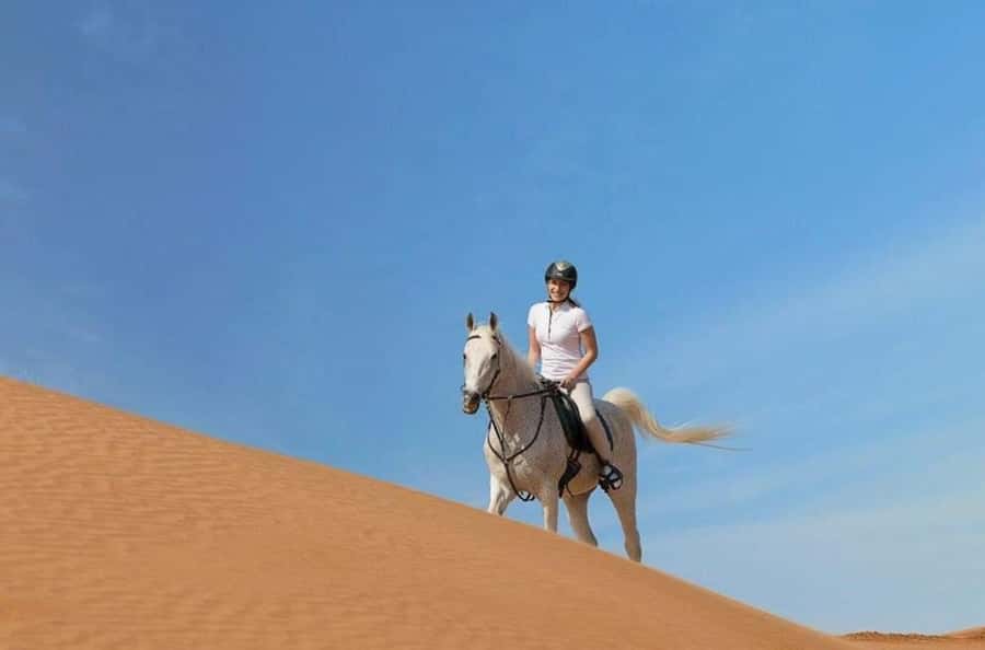 Doha : Arabian Horse Ride Experience With Transfer - Who will enjoy this desert ride most