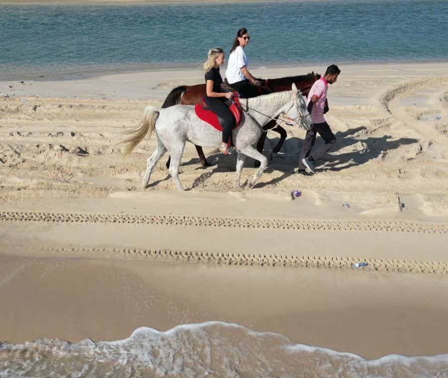Doha: Arabian Horse Riding Experience –Sea or Desert Options - Choosing Between Qatar’s Desert and Seashore Rides