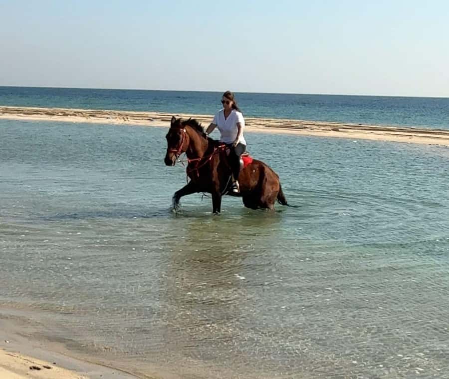 Doha: Arabian Horse Riding Experience –Sea or Desert Options - The Doha Pickup and Drive Toward Mesaieed