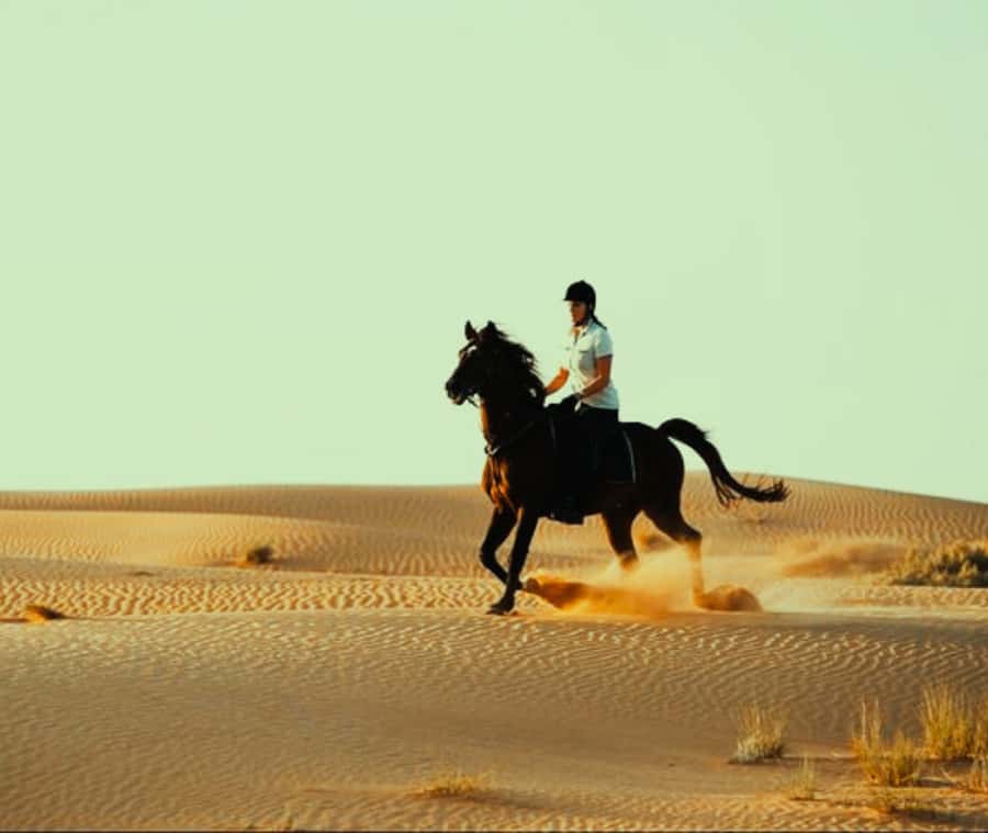 Doha: Arabian Horse Riding Experience –Sea or Desert Options - The Guides and the Human Touch