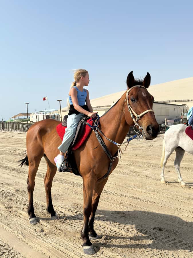 Doha: Arabian Horse Riding Experience –Sea or Desert Options - Practical Tips for a More Comfortable Ride
