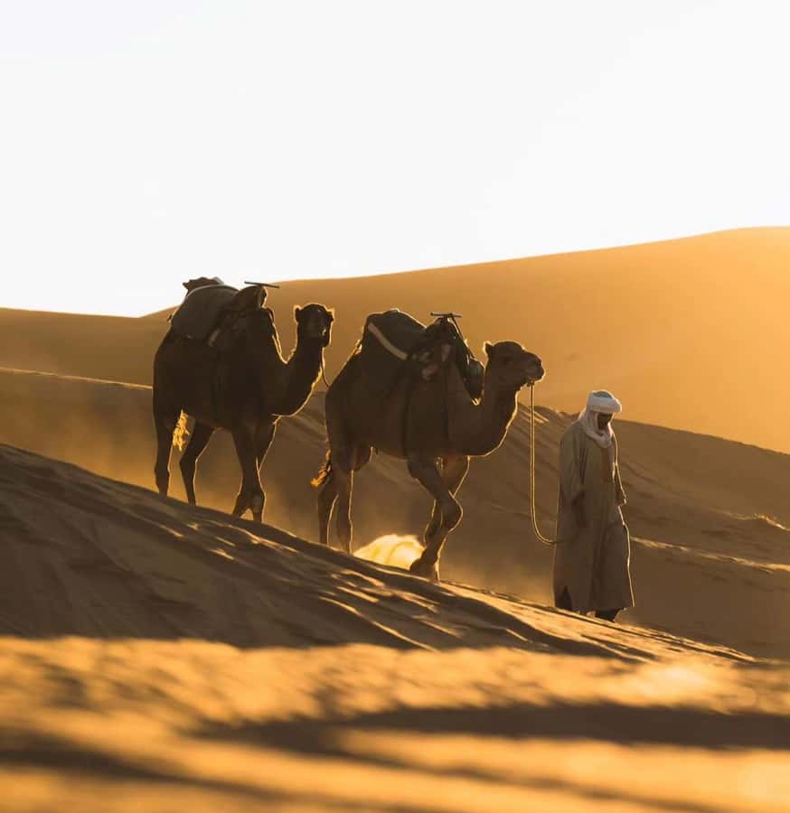 Doha: ATV/Desert Safari with Activities and Inland Sea Stop - Sandboarding without a long learning curve