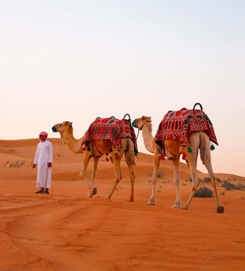 Doha: ATV/Desert Safari with Activities and Inland Sea Stop - How the 270 minutes usually work