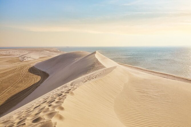 Doha ATV Quad Bike Adventure in the Middle of Desert Qatar - What to consider before you commit
