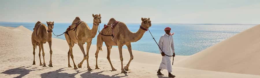 Doha: ATV/Quad, Safari 4x4, Camels, Sandboarding& Inland Sea - Camels and quad bikes: which extras matter?