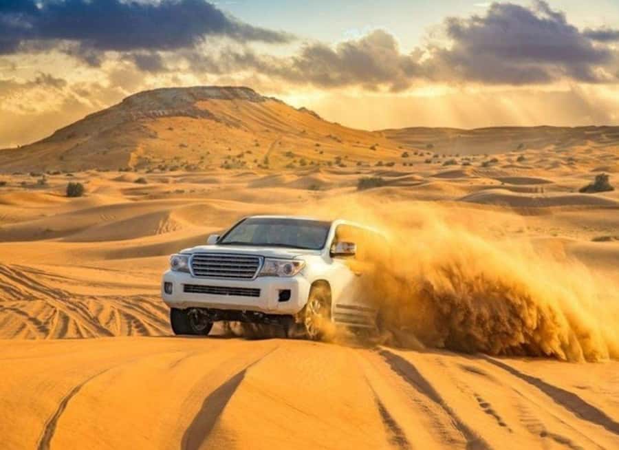 Doha: Budget Friendly Desert Safari,CamelRide & Sandboarding - Sandboarding is simple fun on the dunes