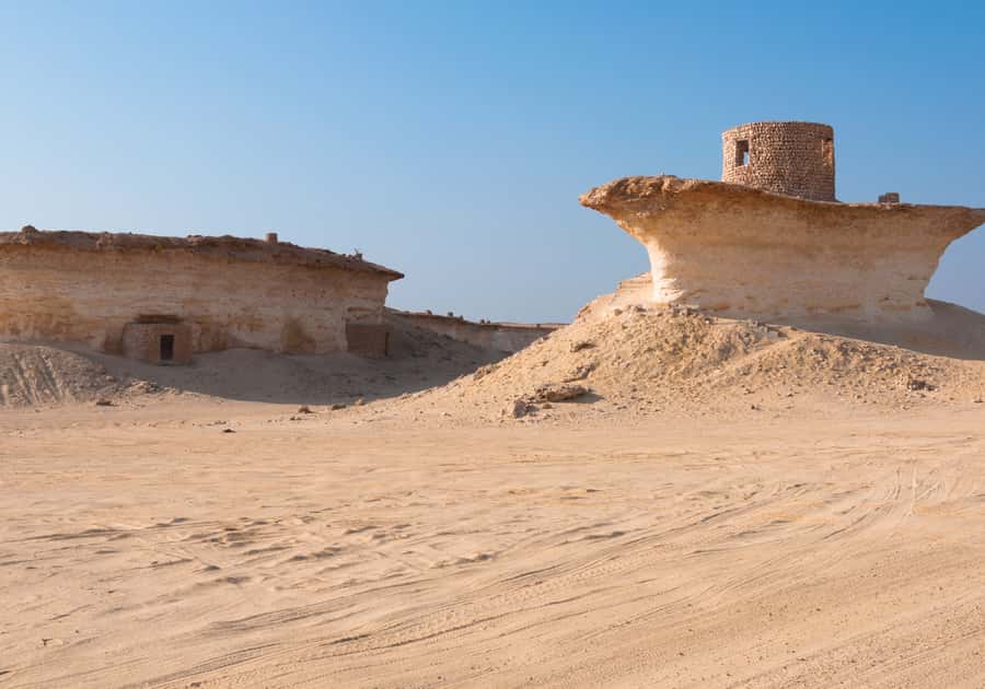 Doha Camel Race Track & Richard Serra Desert Sculpture Tour - Who should book this western Qatar outing?