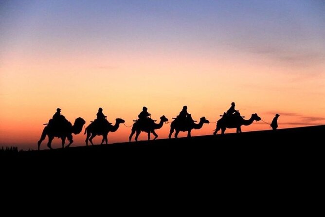 Doha City and Desert Safari Tours (Combo Tour) - Two hours of dune bashing and sandboarding