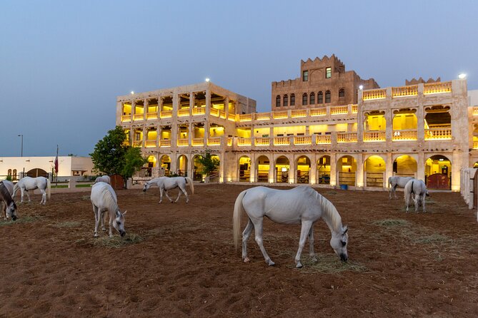 Doha City Highlights Guided Tour With Dhow Cruise - The Pearl Island and Doha’s polished waterfront side