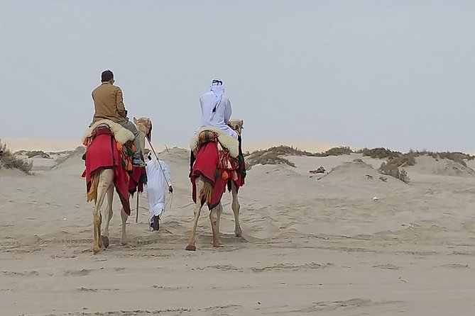 Doha Combo City And Half Day Desert Safari Tour No Hidden cost - Starting with pickup in Doha