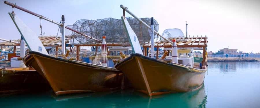 Doha: Combo Heritage & Art Tour of North and West Qatar - Why this North and West Qatar tour is worth your day