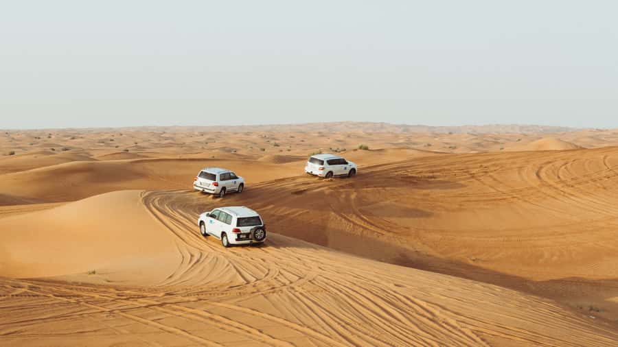 Doha: Combo Private Tour of Desert Safari with ATV Ride - Who should book this desert tour?