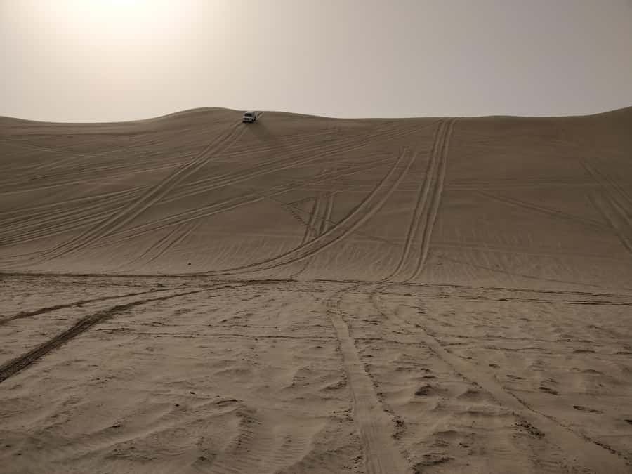 Doha: Combo Private Tour of Desert Safari with ATV Ride - Is $100 good value for five hours?