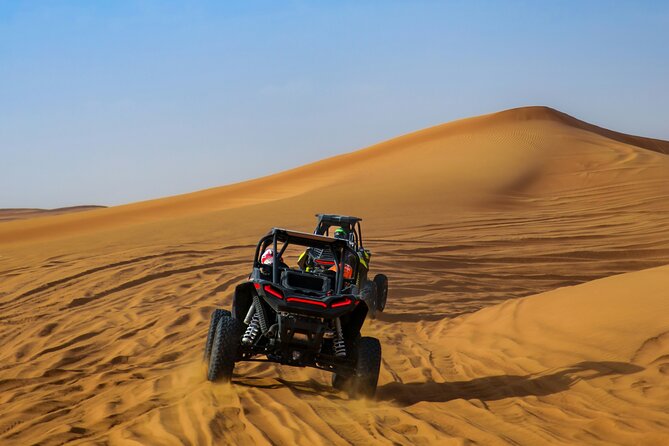 Doha Delights City Tour with Desert Safari and Inland Sea Visit - Camels, refreshments, and a Qatari falcon