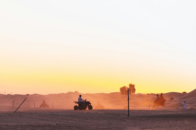 Doha Delights City Tour with Desert Safari and Inland Sea Visit - Khor Al Adaid and the singing dunes