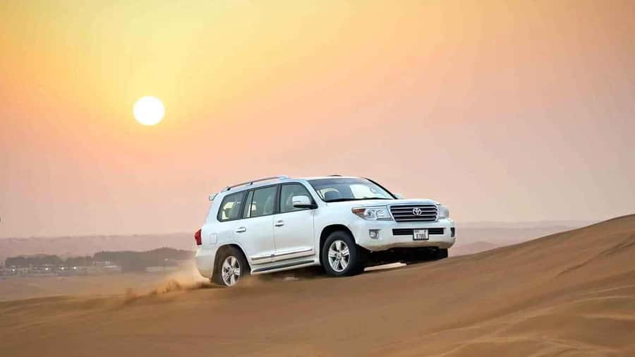 Doha: Desert 4x4, ATV/Quad, Camels, Sandboarding, Inland sea - Dune bashing across the Qatari desert