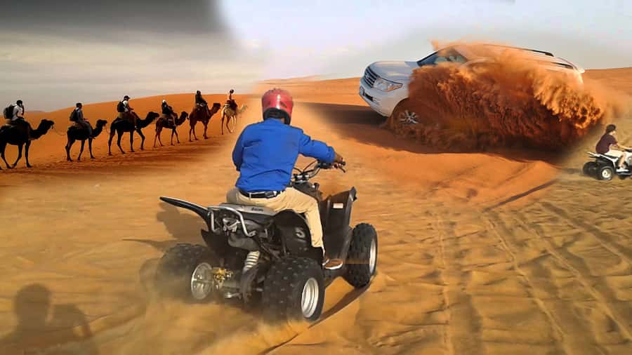 Doha: Desert 4x4, ATV/Quad, Camels, Sandboarding, Inland sea - Camel riding, sandboarding, and quad biking