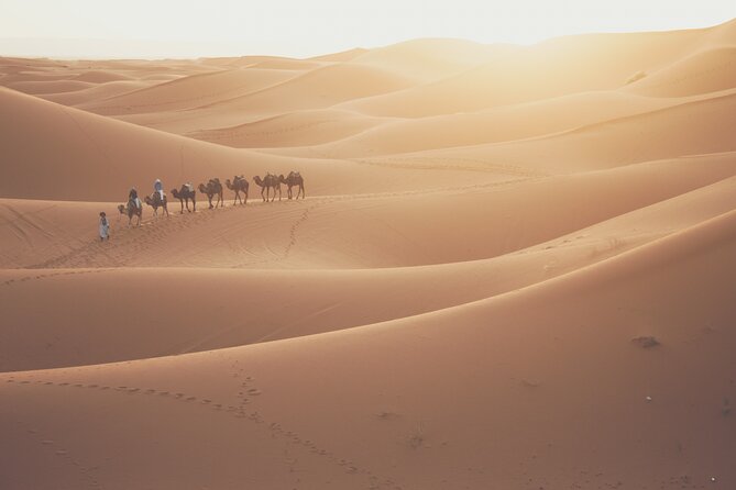 Doha Desert Adventure, Sandboarding, Dune Bashing,Inland Sea Tour - Who will enjoy this desert outing