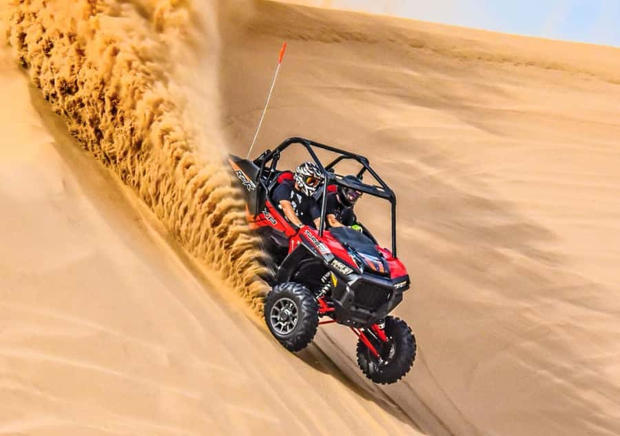 Doha: Desert All Activities ATV Quad Bike, Dune Bashing - A short camel ride at Sealine Beach Resort