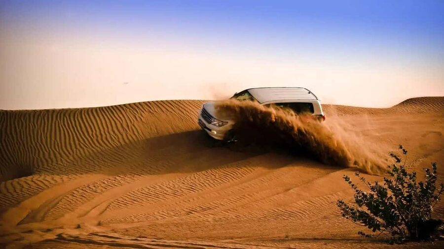 Doha Desert Excursion, Camel Ride, Inland sea, Sandboarding - Key points to know before you book