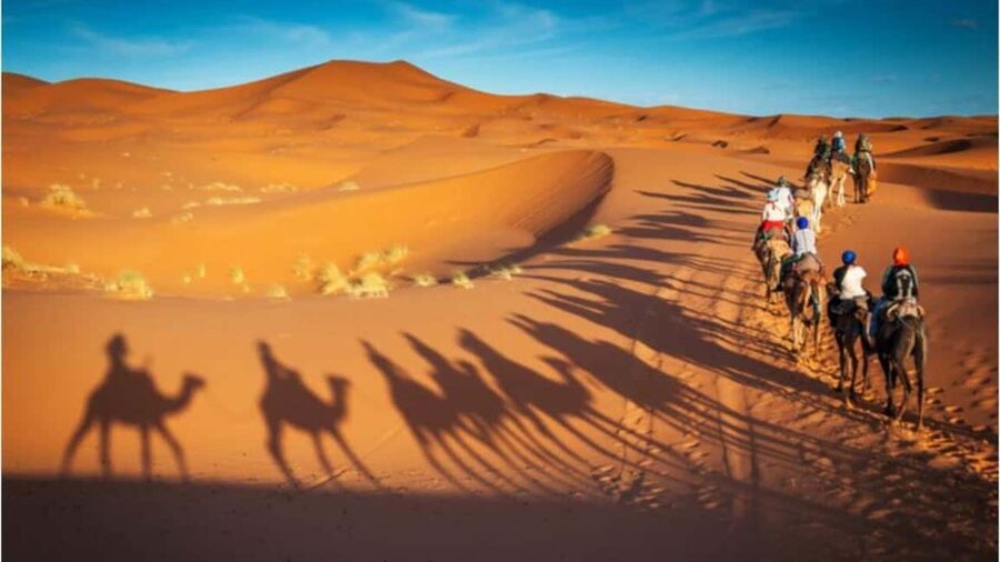 Doha Desert Excursion, Camel Ride, Inland sea, Sandboarding - Sunset, drinks, and what is not included