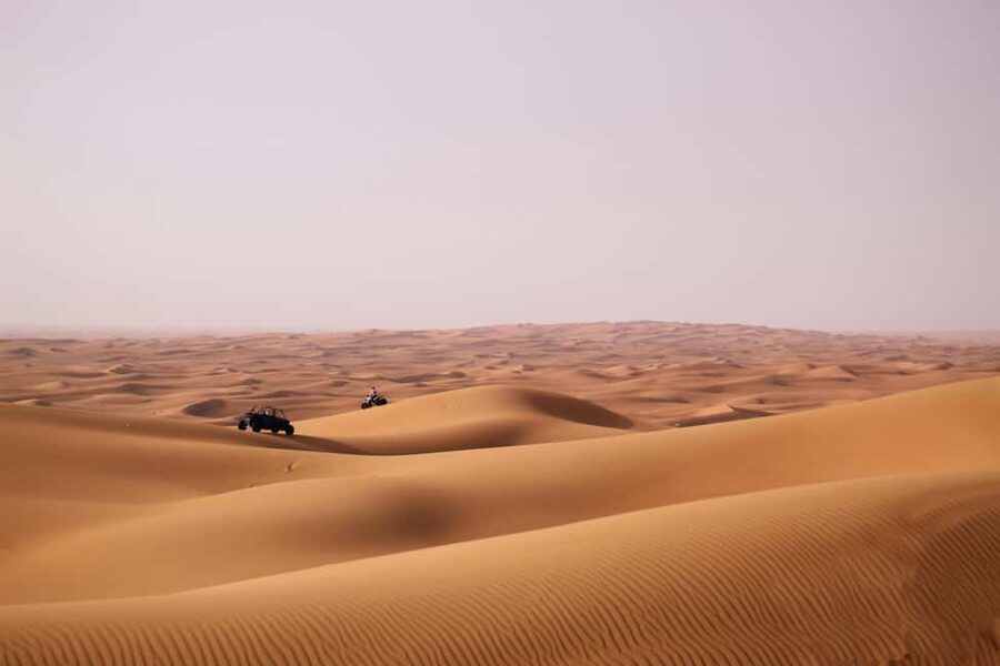 Doha Desert Excursion, Camel Ride, Inland sea, Sandboarding - Who will enjoy this desert trip?