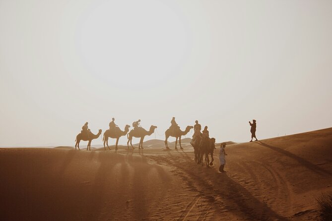 Doha Desert Excursion Dune Bashing Sandboarding Camel Ride - Khor Al Adaid and the Inland Sea