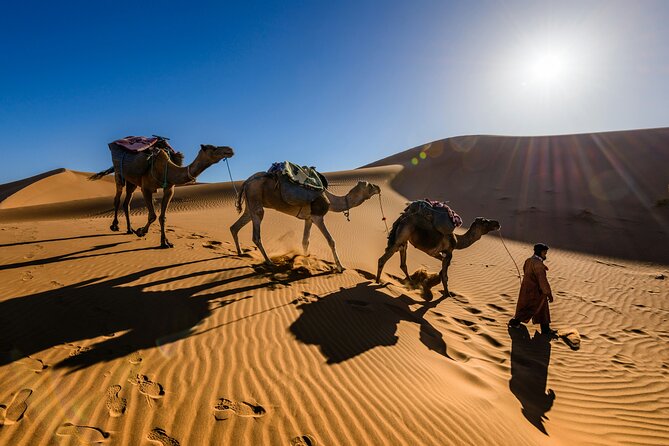 Doha Desert Excursion Dune Bashing Sandboarding Camel Ride - Is $60 a fair price?