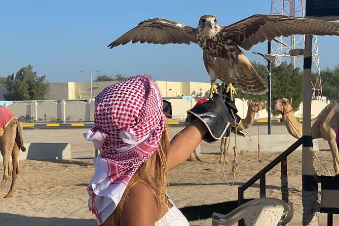 Doha Desert Safari Camel Ride Dune Bashing and ATV Bike - Falcon Photos and Extra Stops
