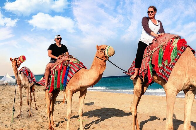 Doha Desert Safari Camel Ride, Sandboarding and Inland Sea - The camel ride: a taste of traditional desert travel