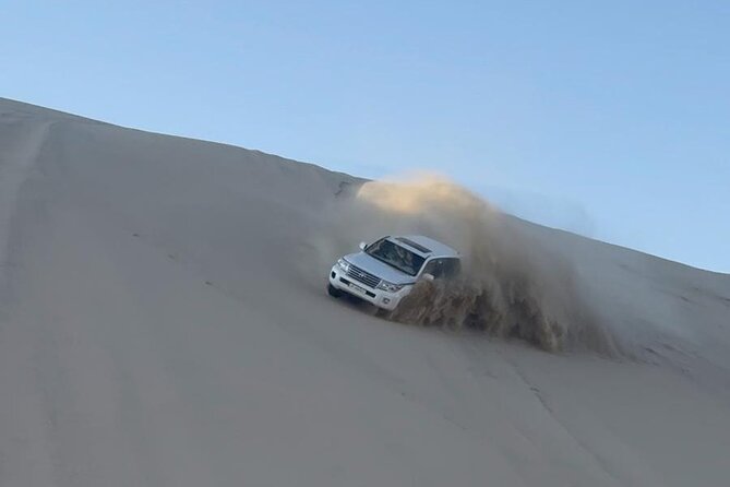 Doha Desert Safari Dune Bashing Camel Ride - Dune bashing across the golden sands