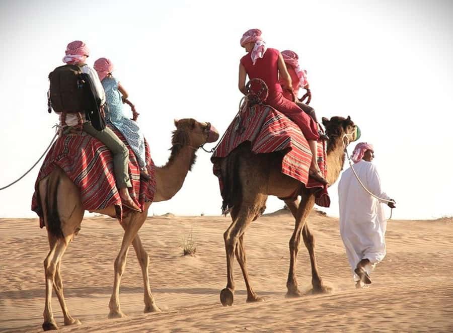 Doha: Desert Safari Dune Bashing, Sandboarding, & Camel Ride - Dune bashing across Qatar’s high sand ridges