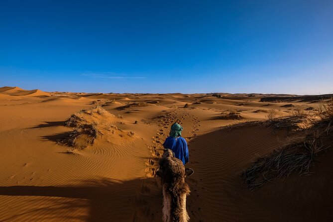 Doha Desert Safari Dune bashing,Sandboarding,CamelRide,Inland Sea - What $60 buys you