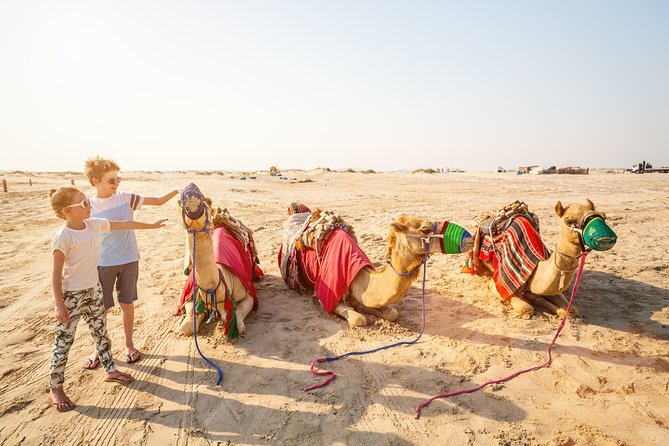 Doha Desert Safari: Dunebashing, Camel, Sandboarding & Inland Sea - The camel ride is a short but useful introduction