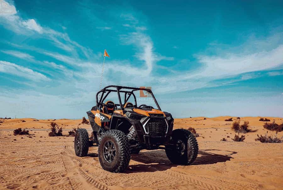Doha: Desert Safari Experience – Quad Bike, Buggy/Camel Ride - Key points at a glance