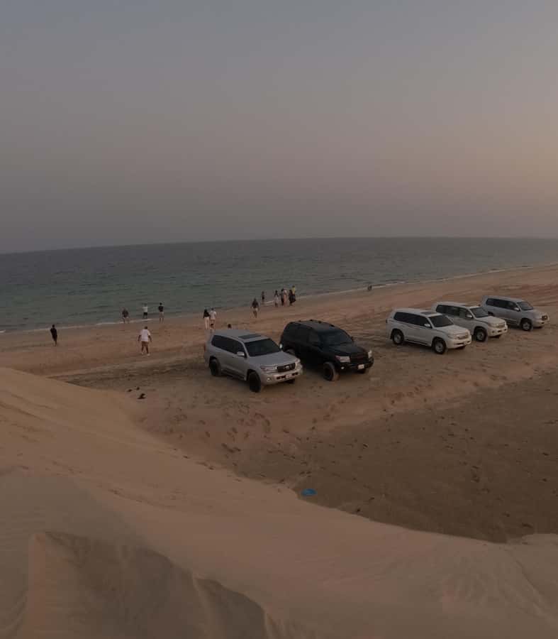 Doha: Desert Safari, Quad Bike, Camel Ride & Inland Sea - The Inland Sea and its wide views