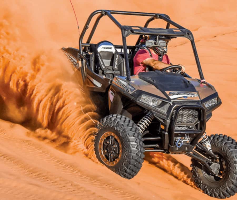 Doha: Desert Safari, Quad Bike, Camel Ride & Inland Sea - Who will enjoy this outing most?