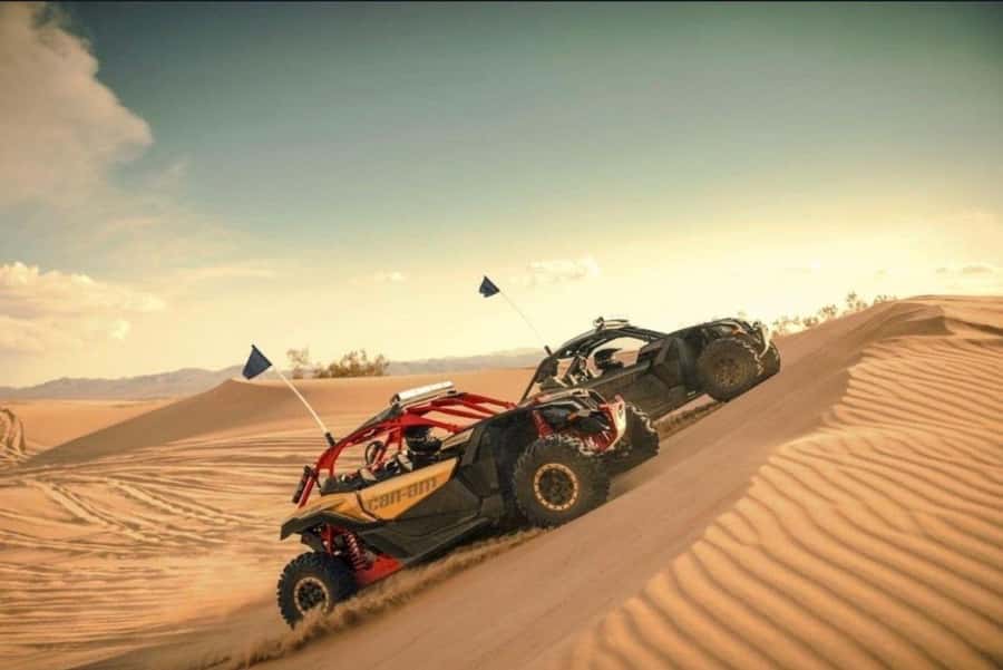 Doha: Desert Safari, Quad Bike, Camel Ride & Inland Sea Tour - Safety, comfort, and what to bring