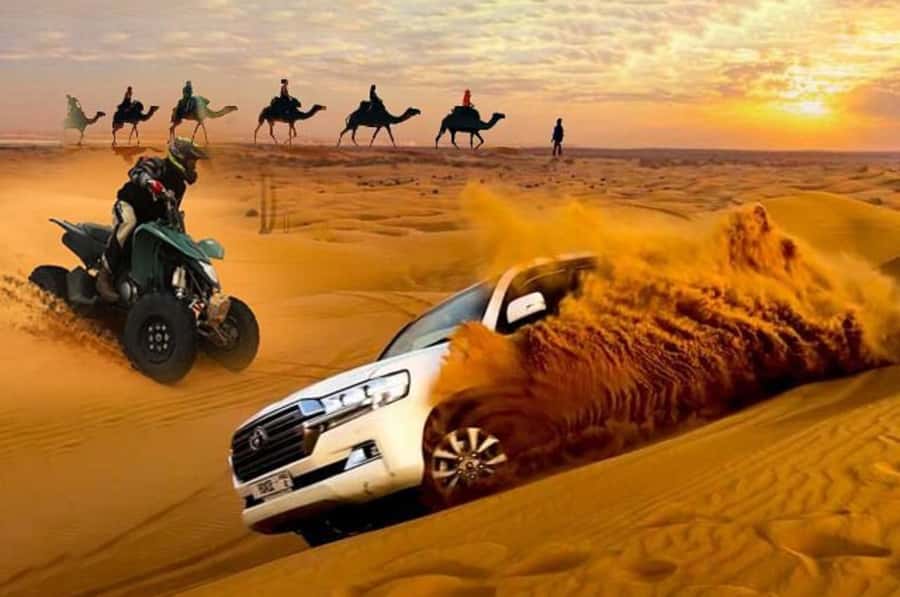 Doha: Desert Safari, Quad Biking, Sand Boarding & Camel Ride - Key points to know before booking