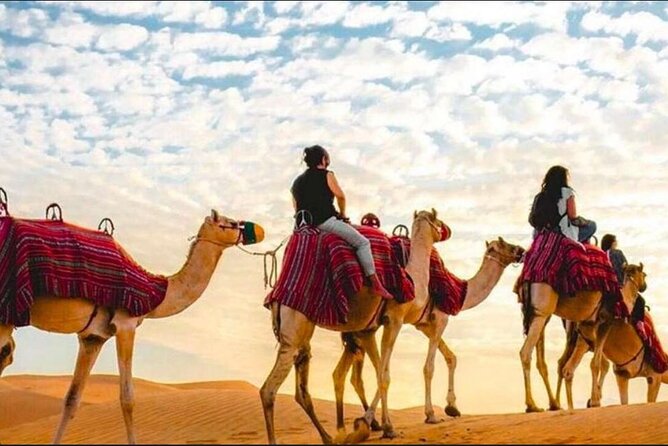 "Doha Desert : Safari, Sandboarding, Camel Ride & Inland Sea" - Why this four-hour desert route works