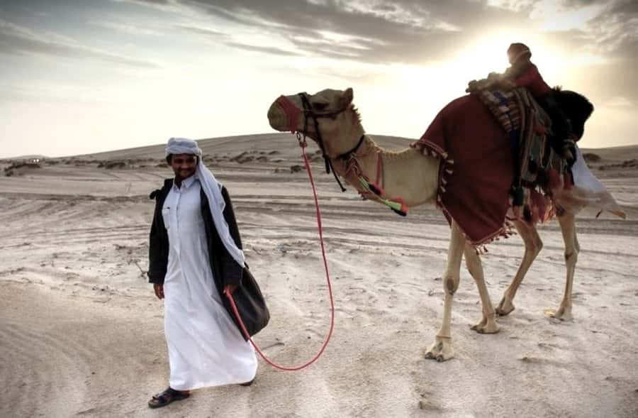 Doha Desert Safari: Sandboarding, Camel Ride & Swimming Fun - The camel stop is short and basic