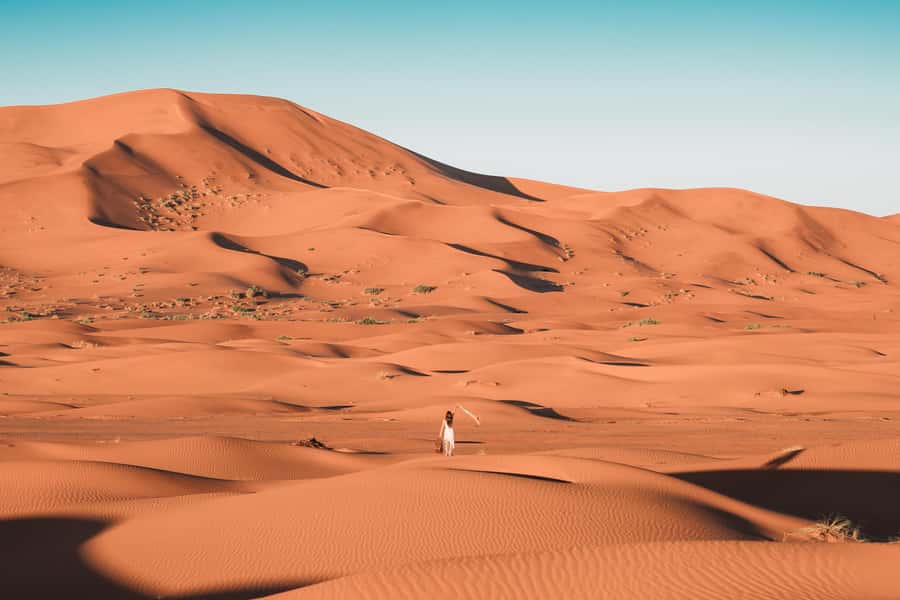 Doha: Desert Safari, Sandboarding, Dune Bashing & Inland Sea - Communication and pickup details