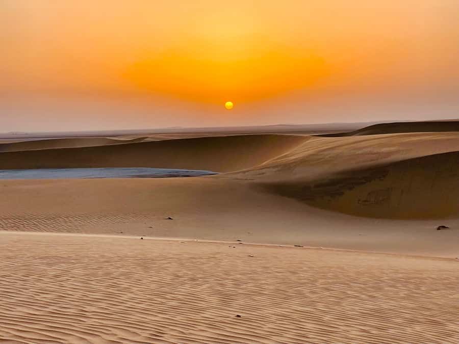Doha: Desert Safari Sunrise Tour/Sunset Tour - Key points to know before you book