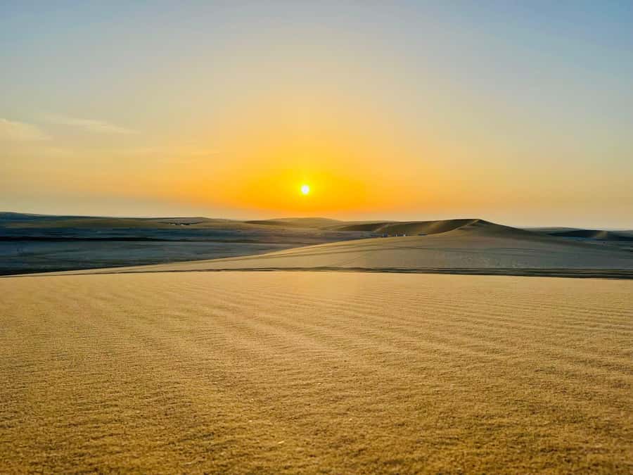 Doha: Desert Safari Sunrise Tour/Sunset Tour - Forty-five minutes of dune bashing