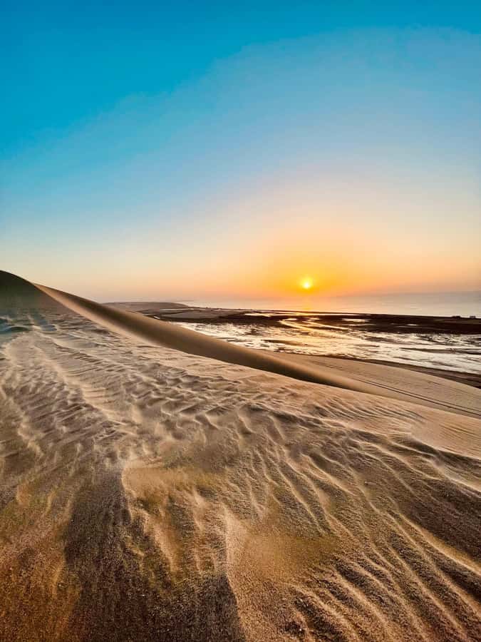 Doha: Desert Safari Sunrise Tour/Sunset Tour - A short camel ride in Mesaieed