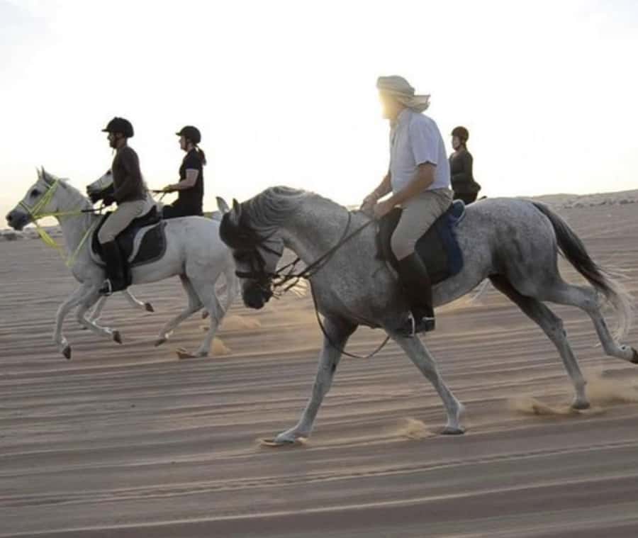 Doha: Desert Safari with Camel Ride and Quad Bike and Buggy - A full day of desert action near Doha